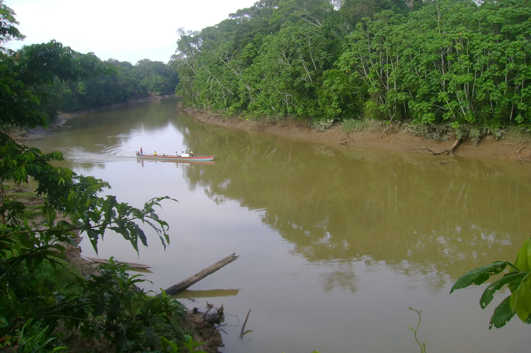 Vista del Río Tiputini desde la Comuna Kichwa Llanchama, con una canoa navegando entre la vegetación ribereña