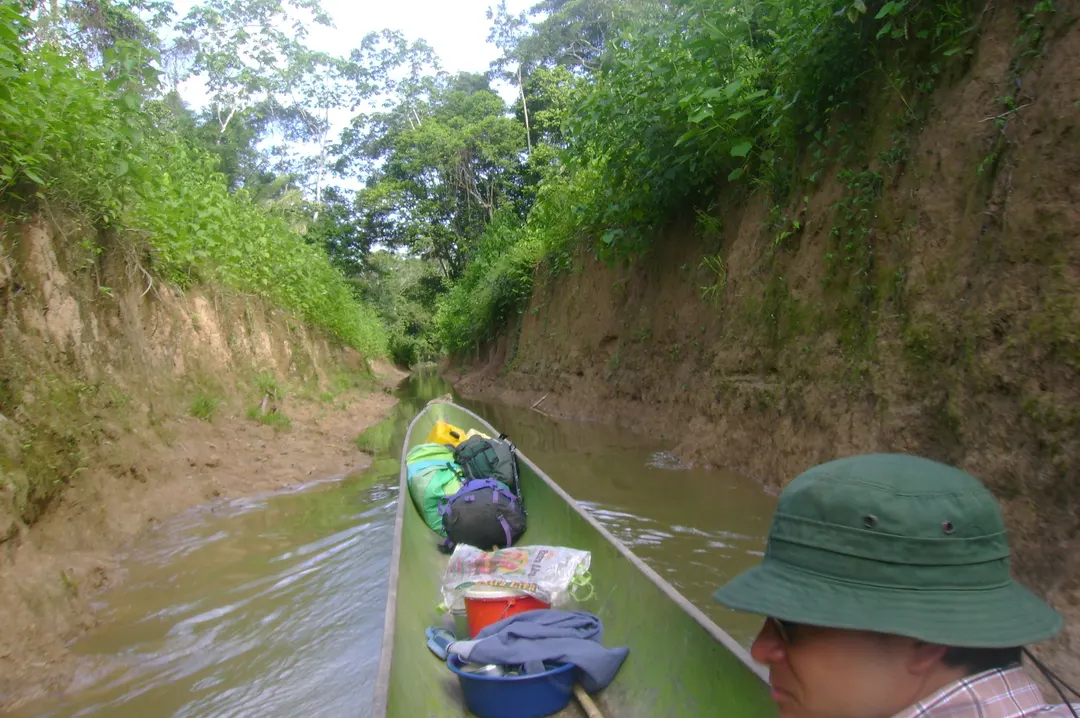 Navegación en canoa por un atajo estrecho del Río Tiputini rodeado de vegetación