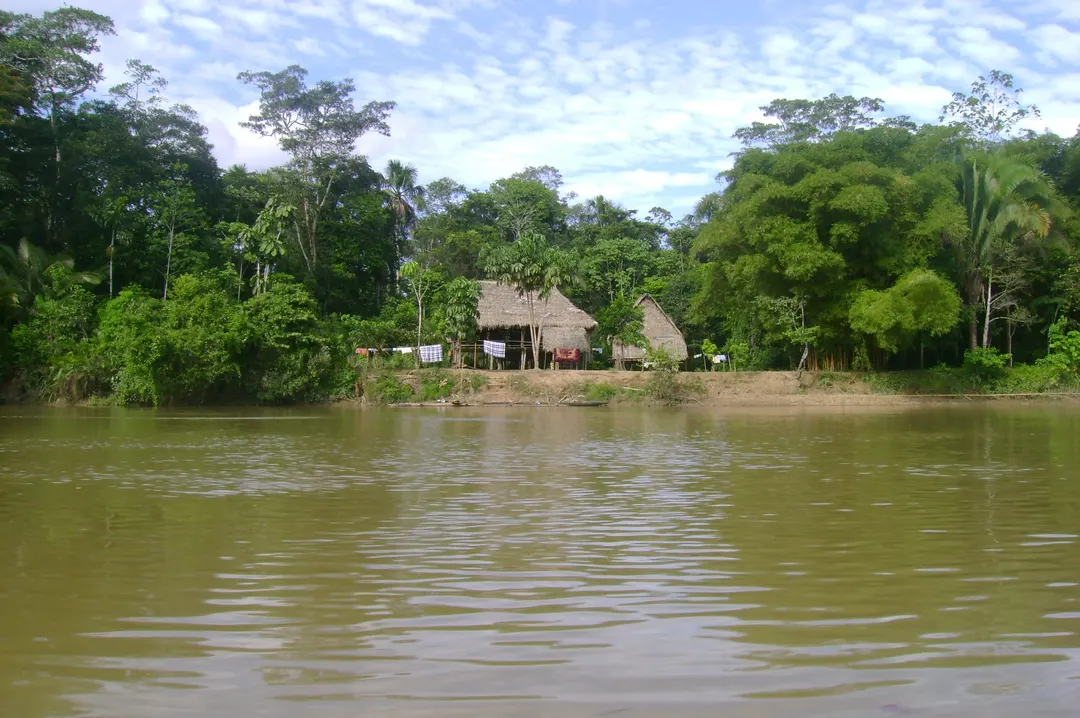 Vivienda tradicional sobre la ribera alta del Río Tiputini